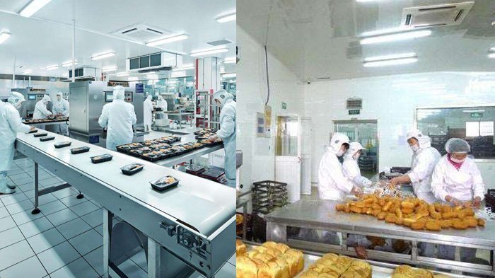 食品加工廠(chǎng)房潔凈車(chē)間裝修設(shè)計(jì)和建設(shè)結(jié)論